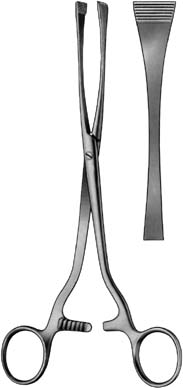 Scalp Flap Forceps